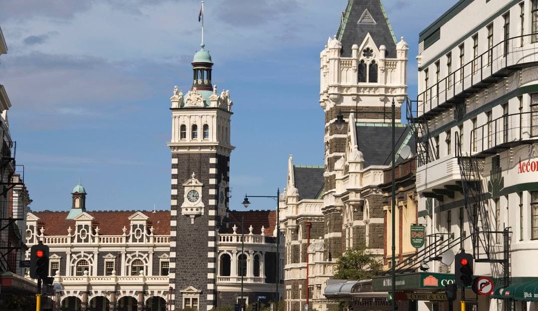 Dunedin — dog-friendly spots