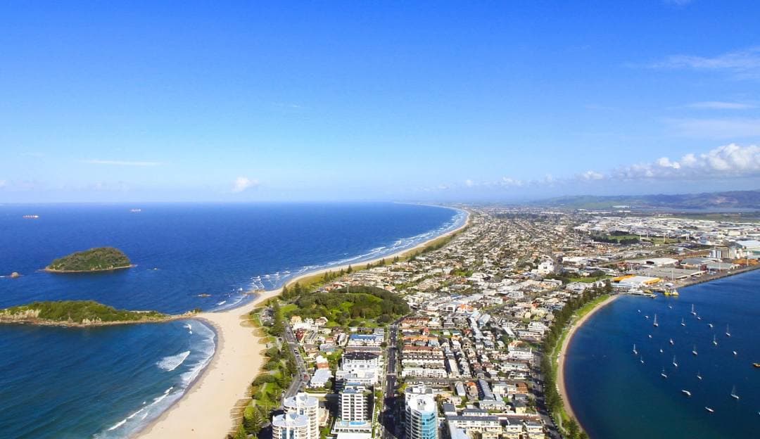 Tauranga — dog-friendly spots