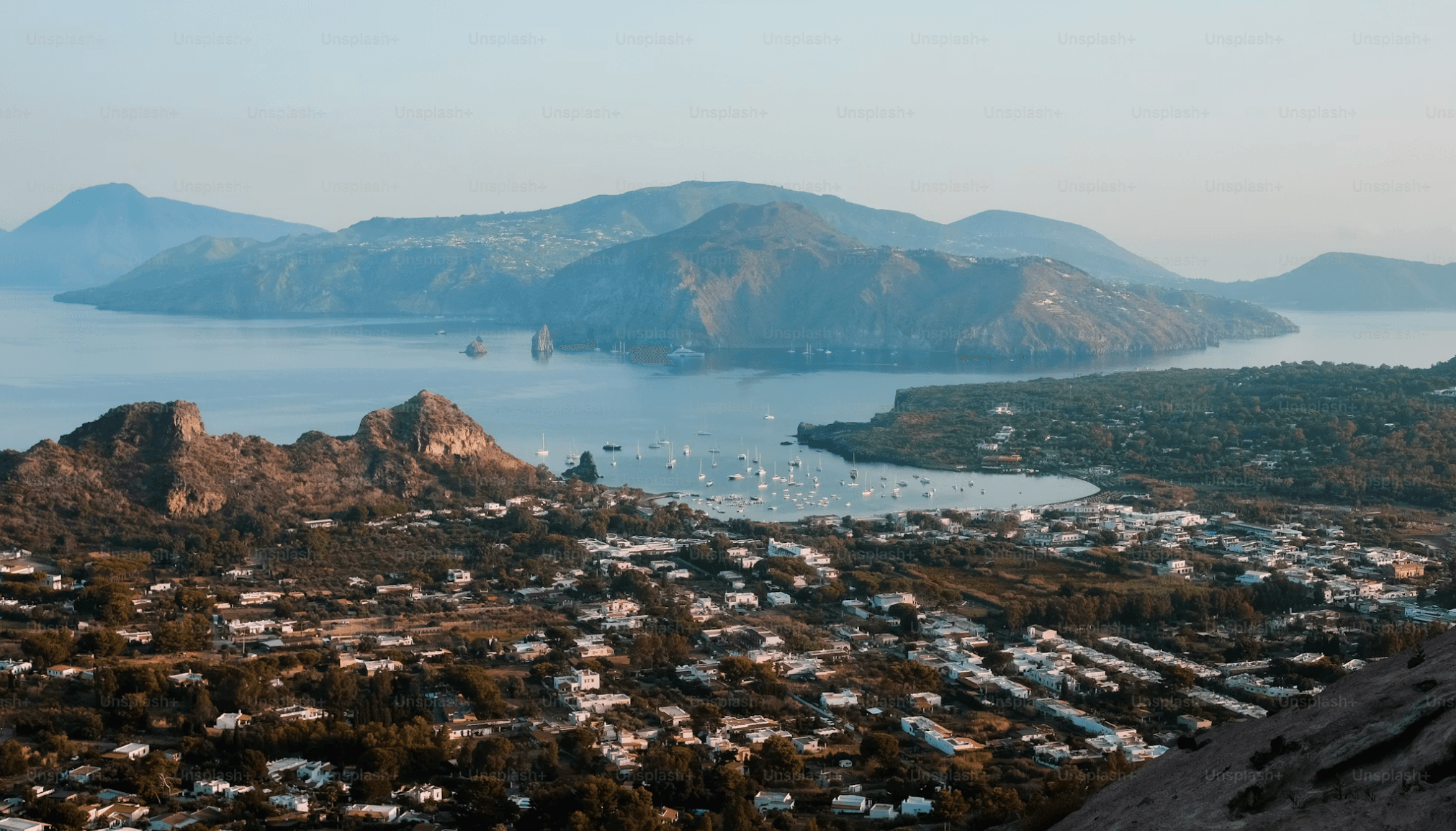 Wellington — dog-friendly spots