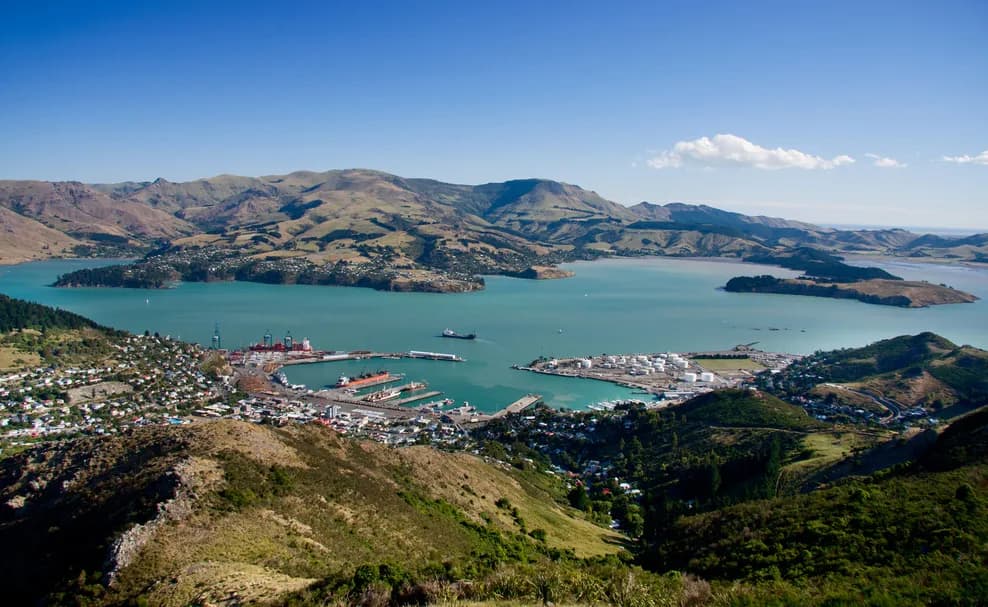 Best Dog-Friendly Walks in Christchurch 2026
